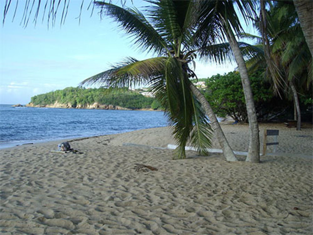 Anse l'étang