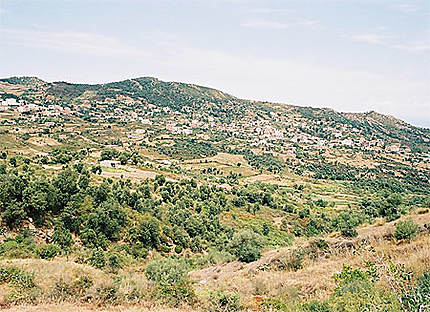 paysage de kabylie