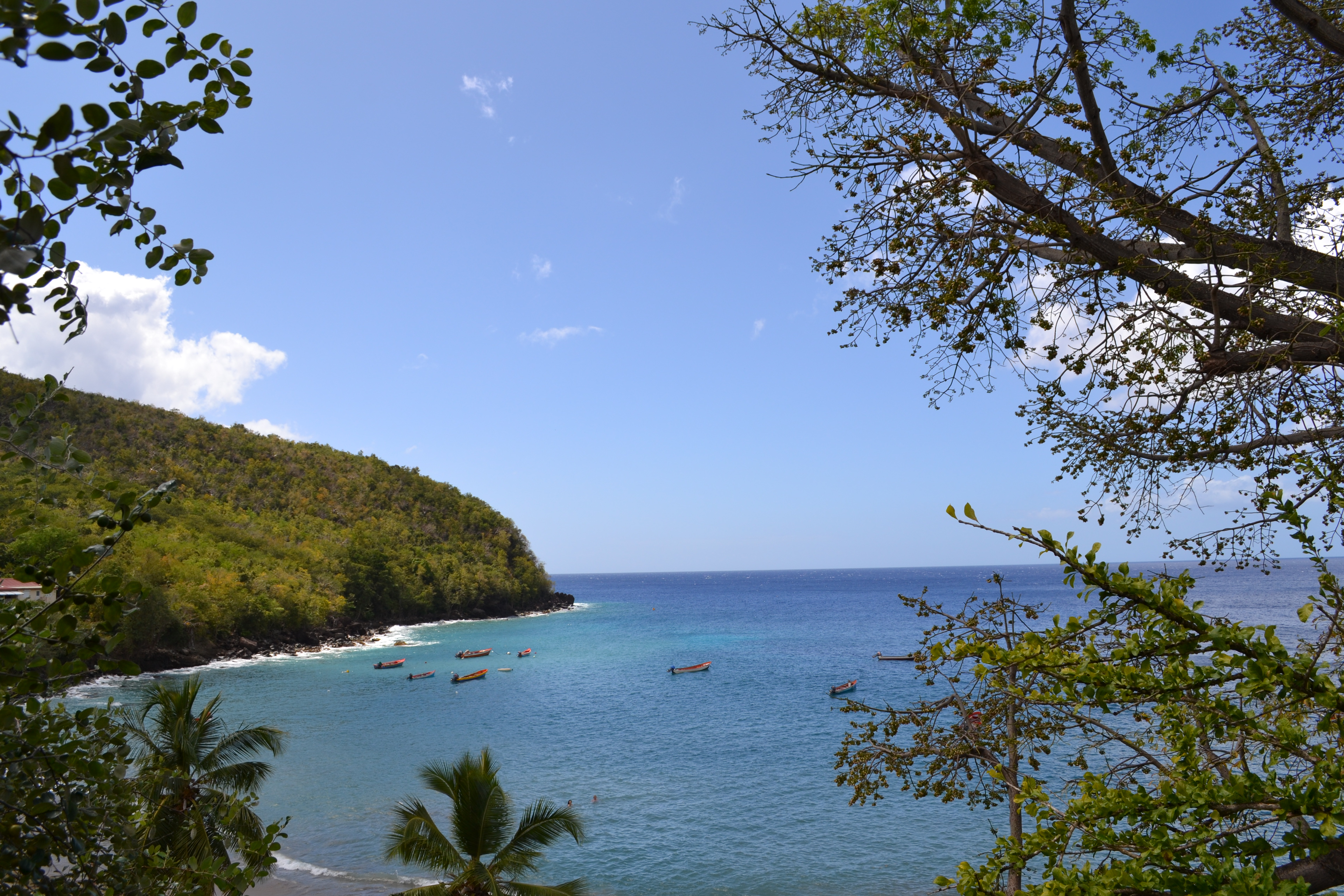 Pêche en Martinique : Mer : Martinique : Routard.com