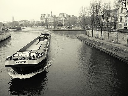 La Seine au quai Boubon
