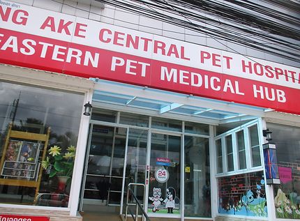 Pet médical à Pattaya, Thaïlande