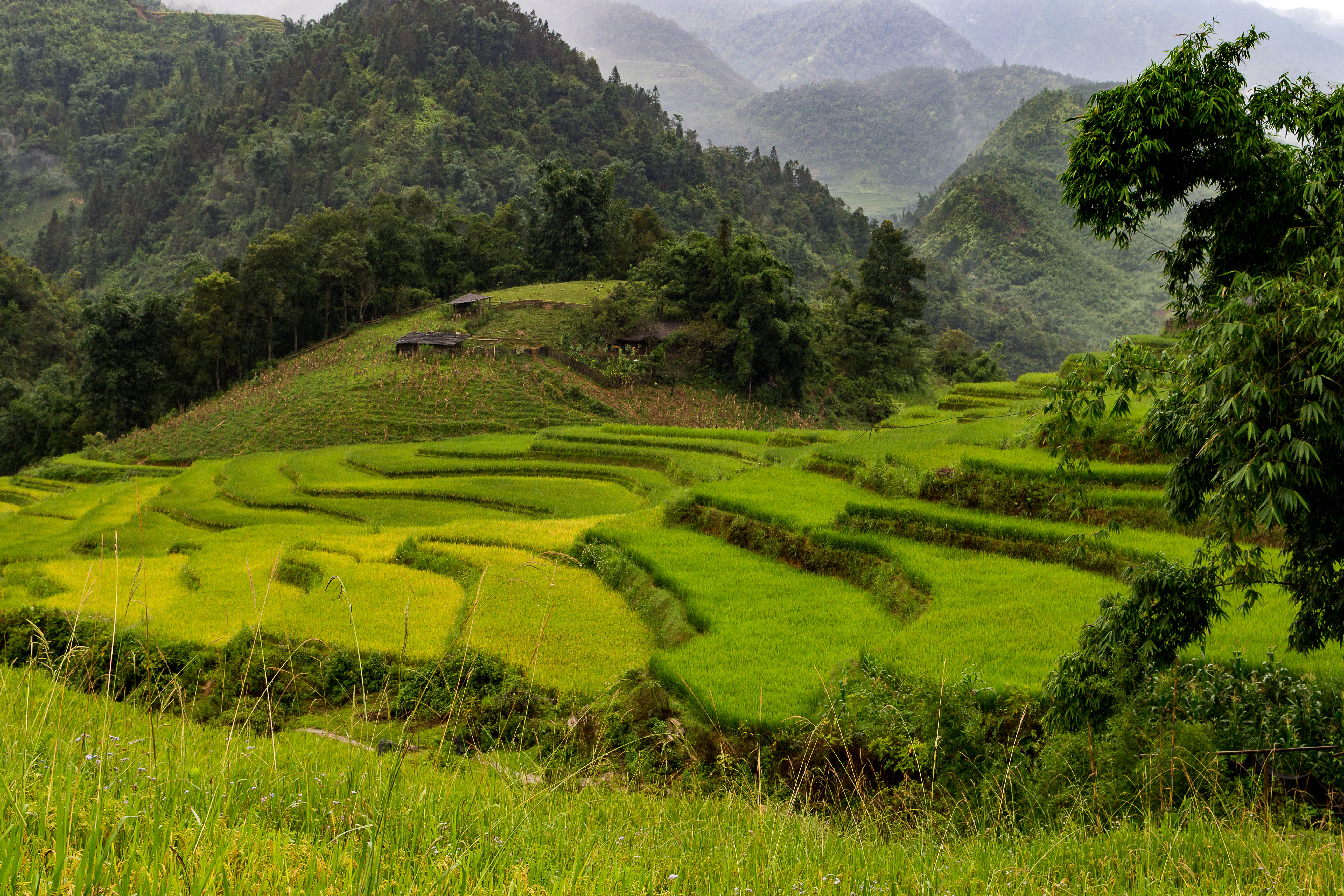 Vietnam Sapa Vietnam Sapa