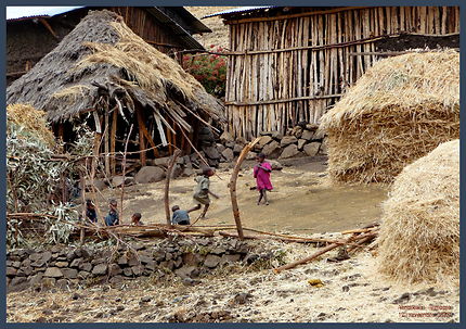 Simiens : à Ambikwa au pied du Ras Dashan