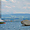 L'été au lac de Zürich