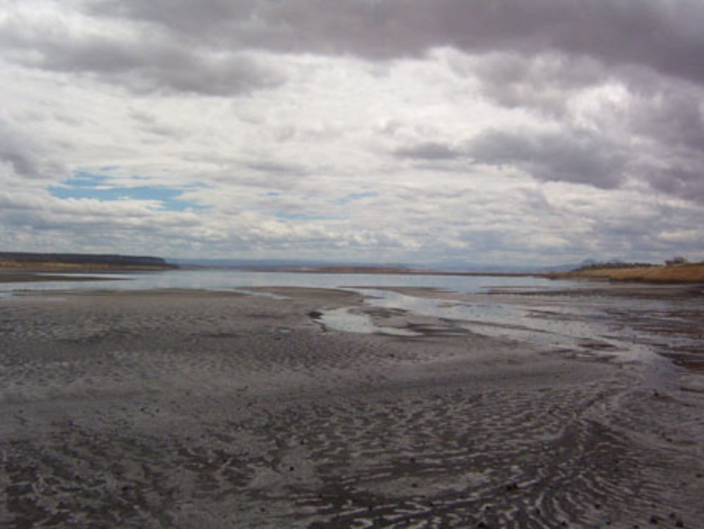 Lac de Magadi