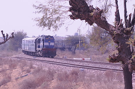Passage d'un train sur la route menant à Mandawa