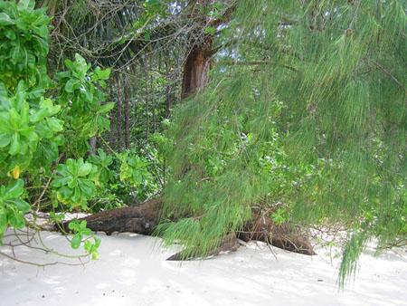 Anse La Farine Anse La Farine