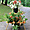 Montage floral dans le parc du château