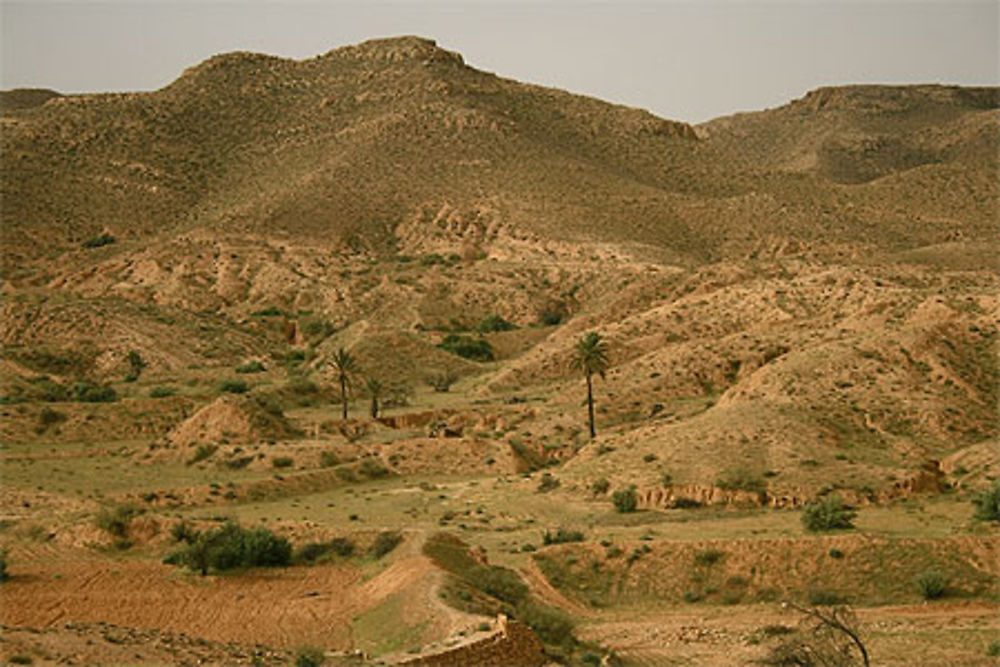 Montagne près de Toujane