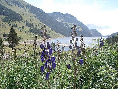 Lac de l'Oule Lac de l'Oule