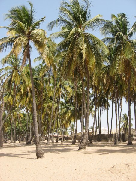 Niodior village