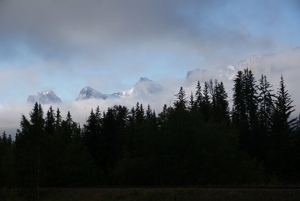 Bow Valley Wildlandsovincial park