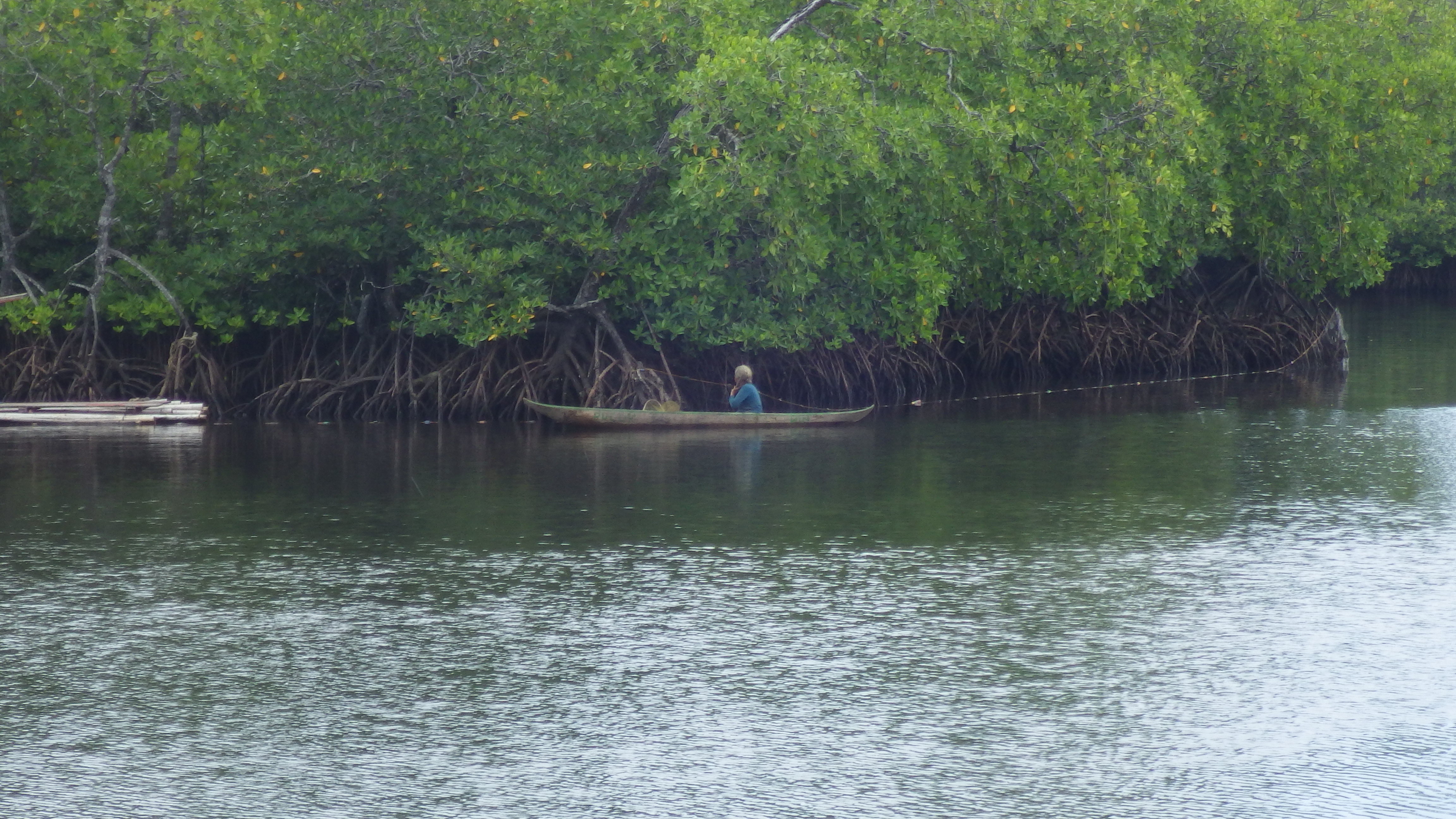 Pirogue Pirogue