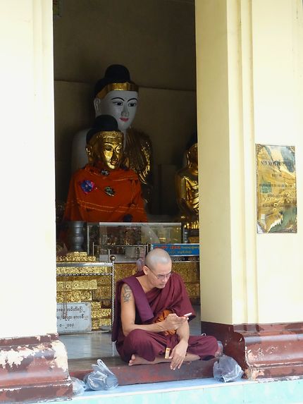 Allo Bouddha, ici Yangon