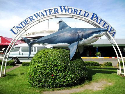 Underwater World Pattaya (aquarium)