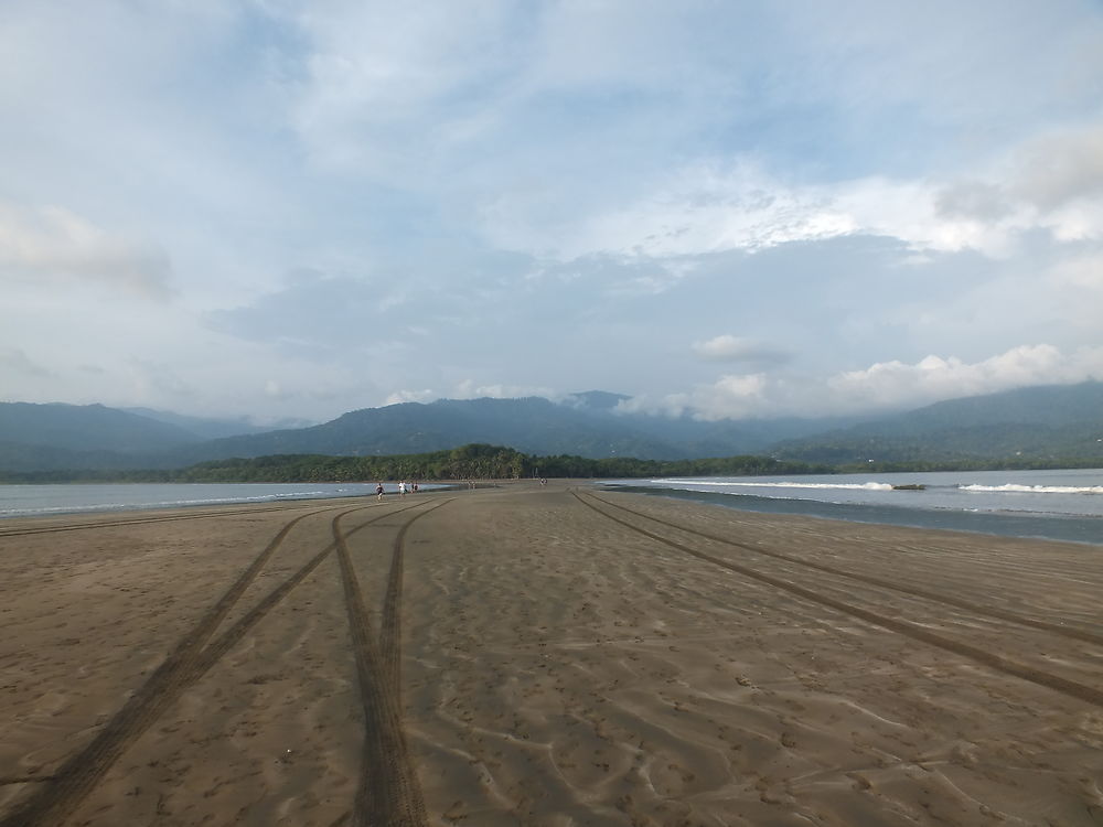 Plage de la queue de la baleine