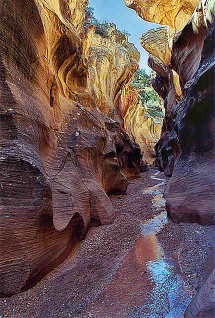 Willis Creek Canyon