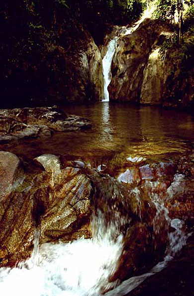 Cascade Cascade