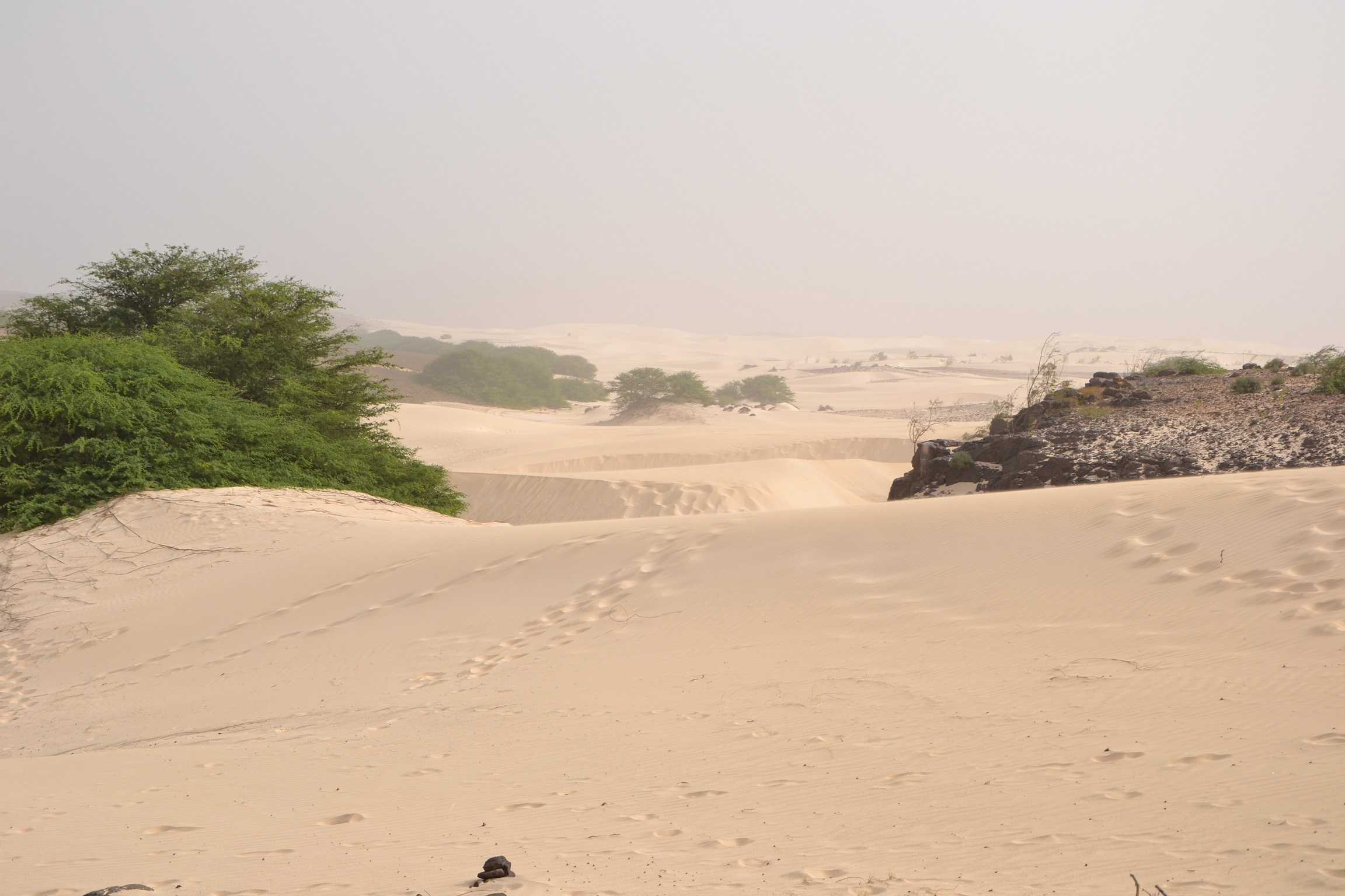 Le Deserto de Viana Le Deserto de Viana