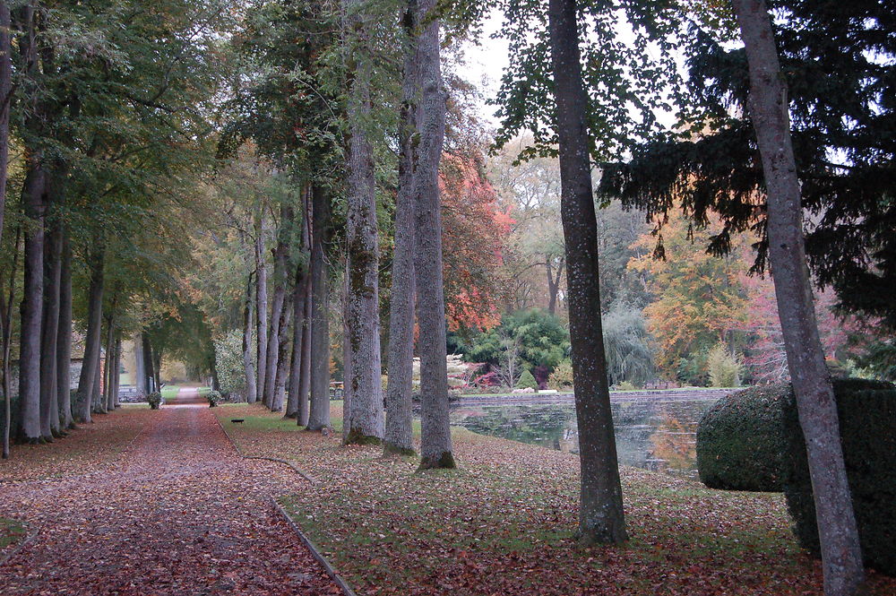 Les jardins du château de Courances, en automne