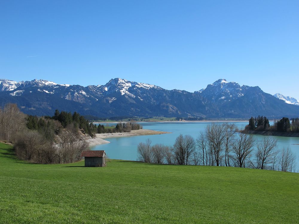 Forggensee