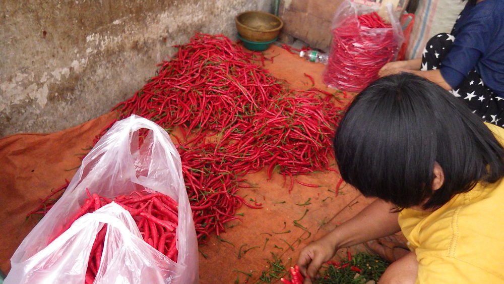 Marché traditionnel de Padang