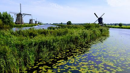 Moulins de Kinderdijk, au Pays-Bas