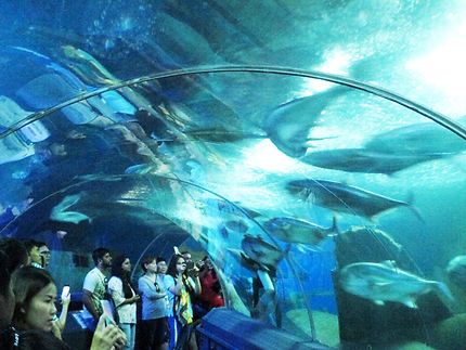 Underwater World Pattaya (aquarium)
