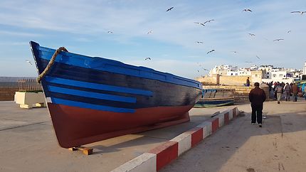 Au port d'Essaouira 