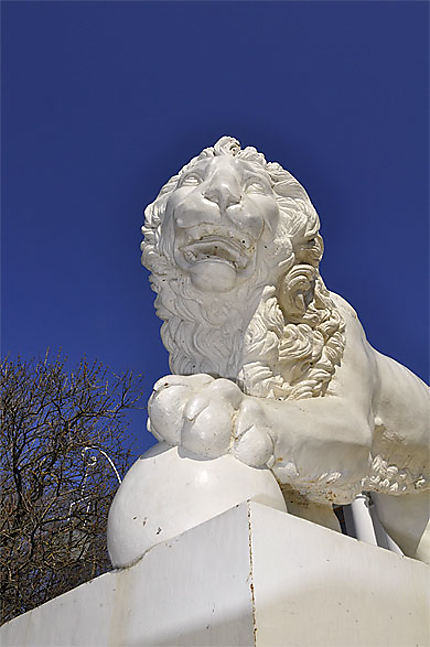 Lion Palais Alexandre
