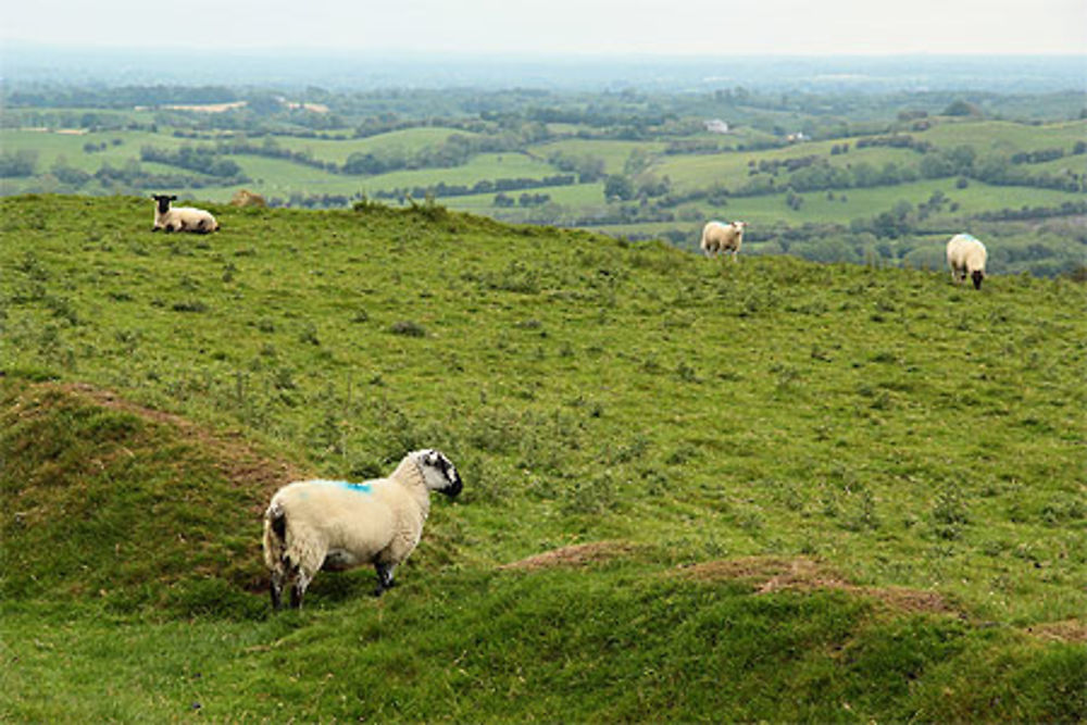 Loughcrew