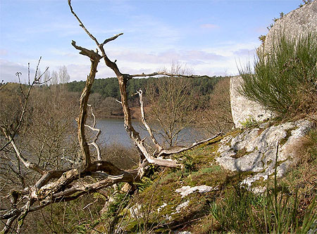 Le long de la Vilaine Le long de la Vilaine