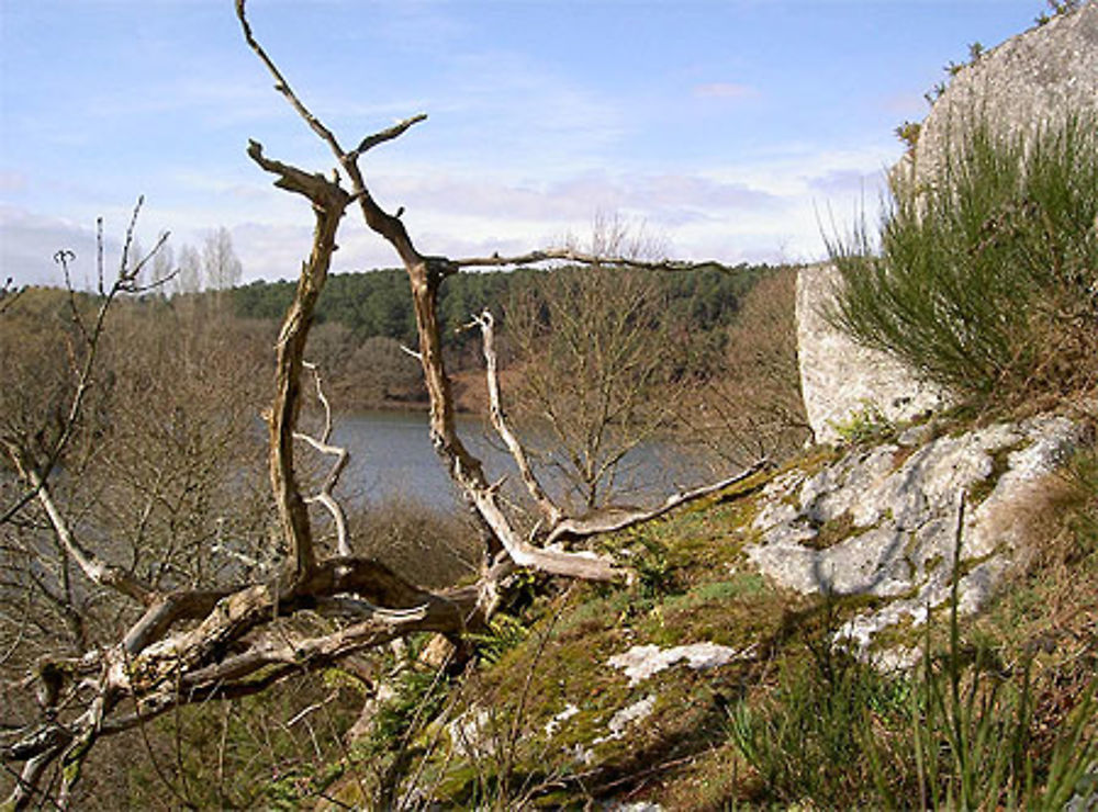 Le long de la Vilaine