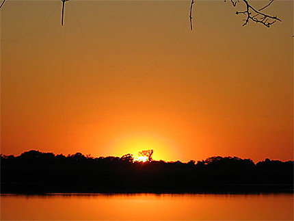 Lever de soleil sur l'Okavango