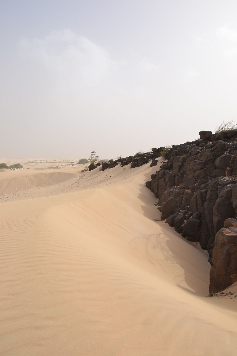 Le Deserto de Viana