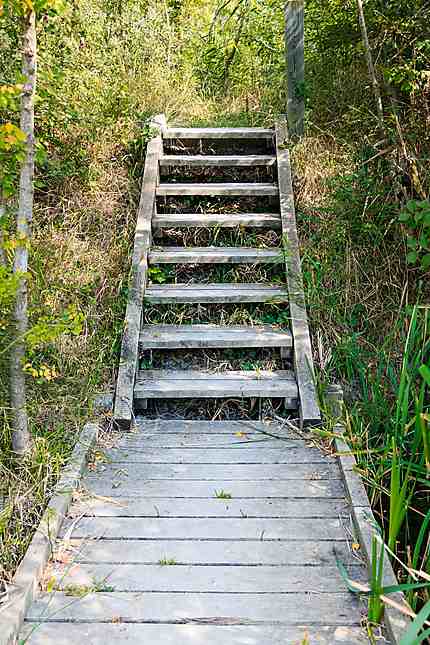 Marais du Vigueirat : escalier sans destination