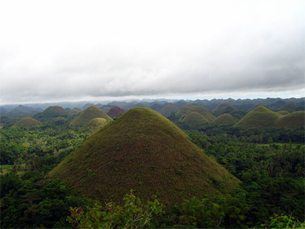 Chocolates Hills