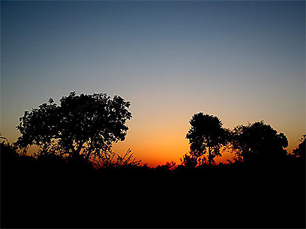 Coucher de soleil sur l'Okavango