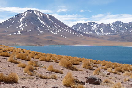 Paysage d'altitude chilien