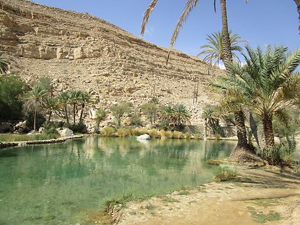 Wadi à Oman