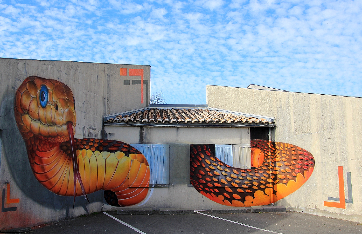 Terrifiant serpent ! : Street art : Charente-Maritime : Poitou ...