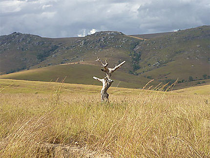 Plateau d'Ihorombe