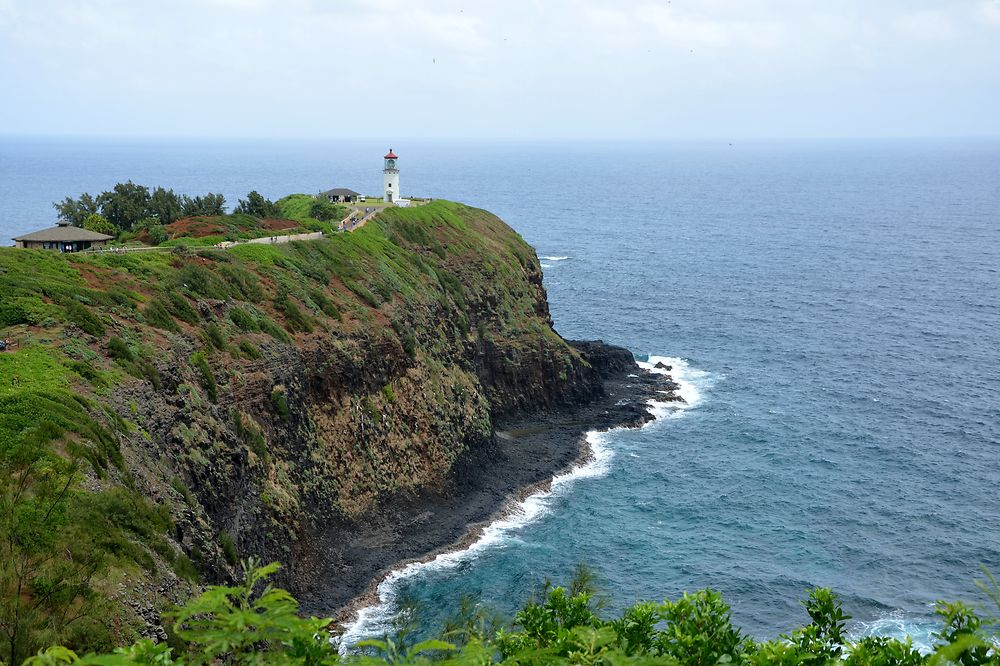 Kilauea Point, Kapaa, Hawaii