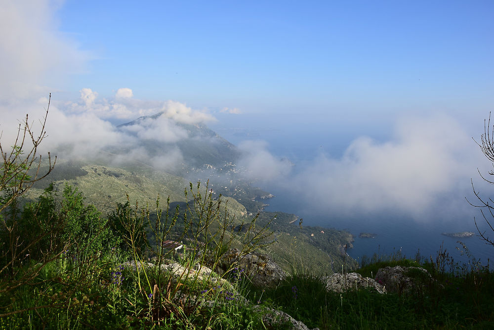 Panorama sur la côte