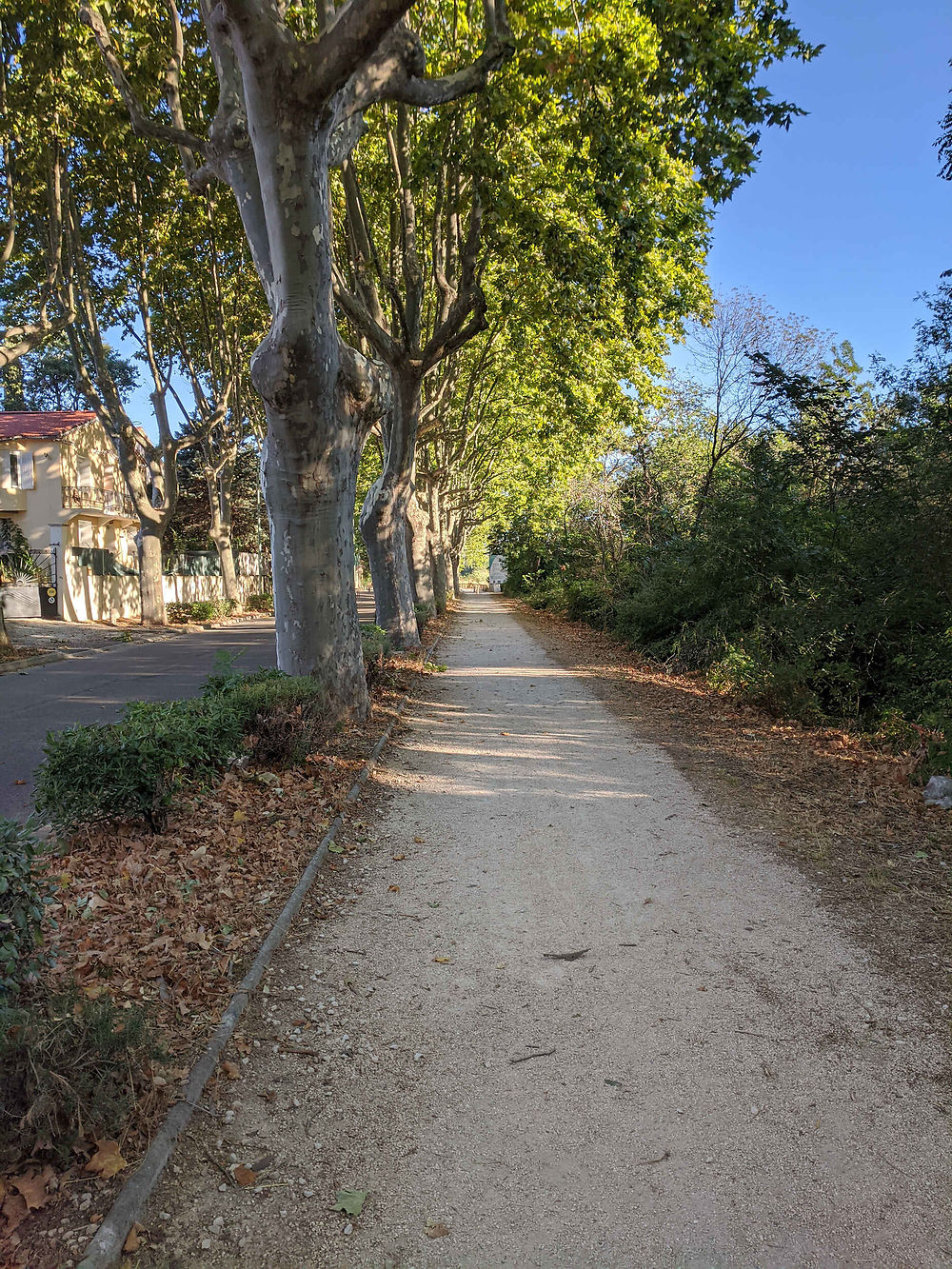 Piste cyclable du Pont du Gard