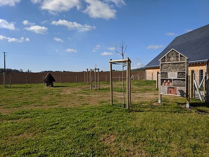 Hotel à insecte normand