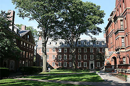 Harvard University (Cambridge)