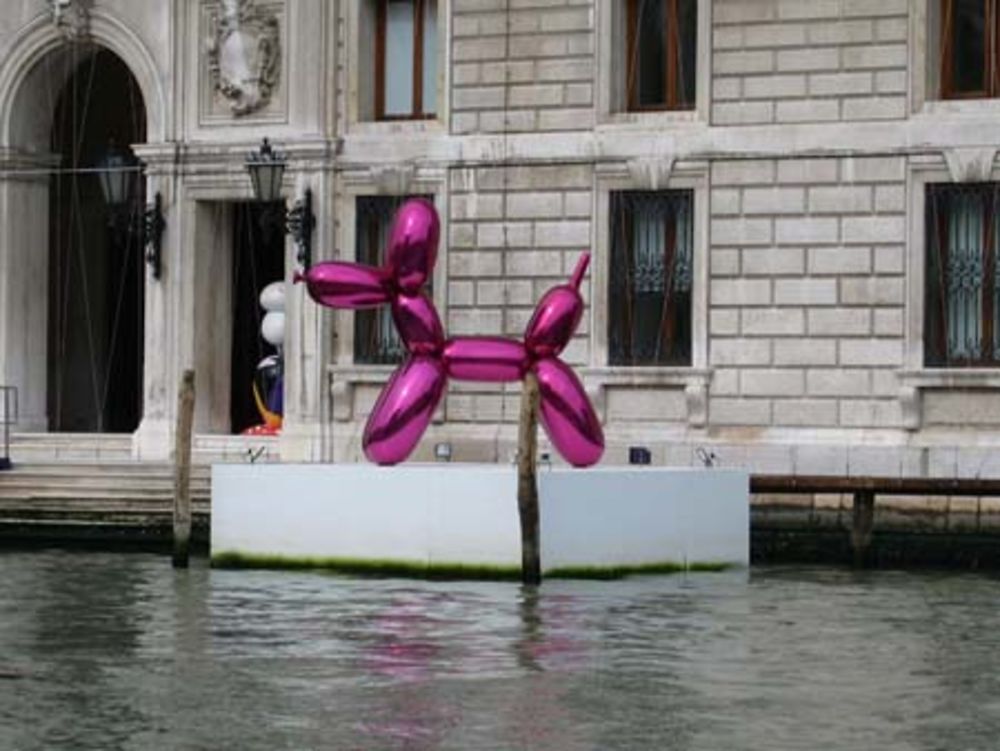 Chien rose du Palazzo Grassi