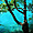 Eaux turquoises de Plitvicka Jezera