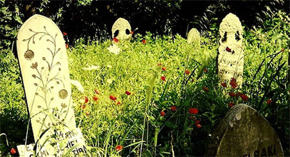 Cimetière aux coquelicots